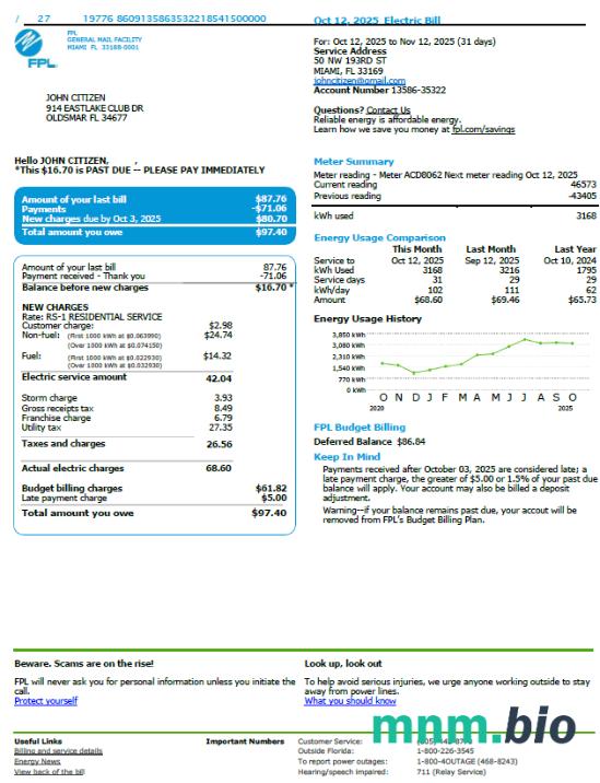 Szablon rachunku za media FPL USA w formatach Word i PDF, Wersja 3
